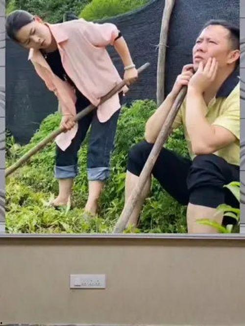 娱乐八卦吃瓜群众